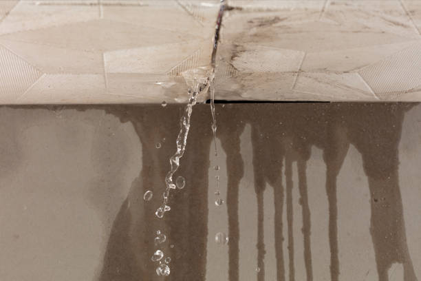 Professional Water Damage Repair technician working in La Coste, TX